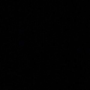 Meet your Posher, Will